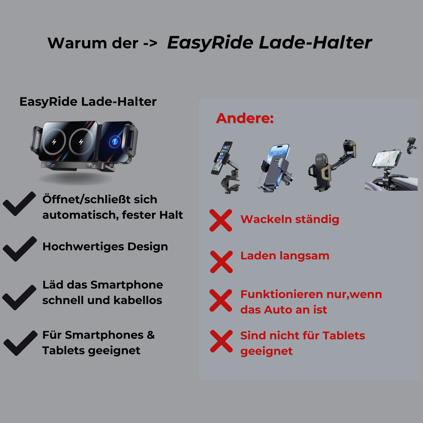 EasyRide Lade-Halter